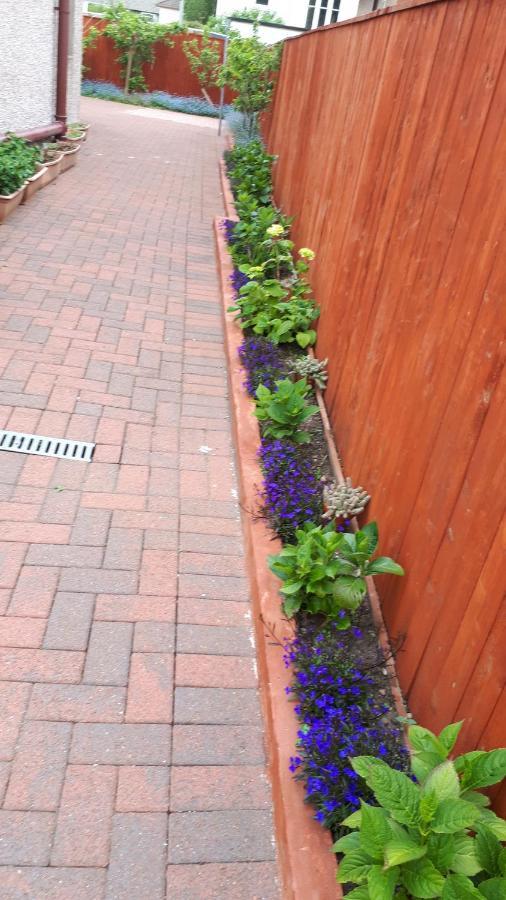 Glendarroch Guest Houseラーグス エクステリア 写真